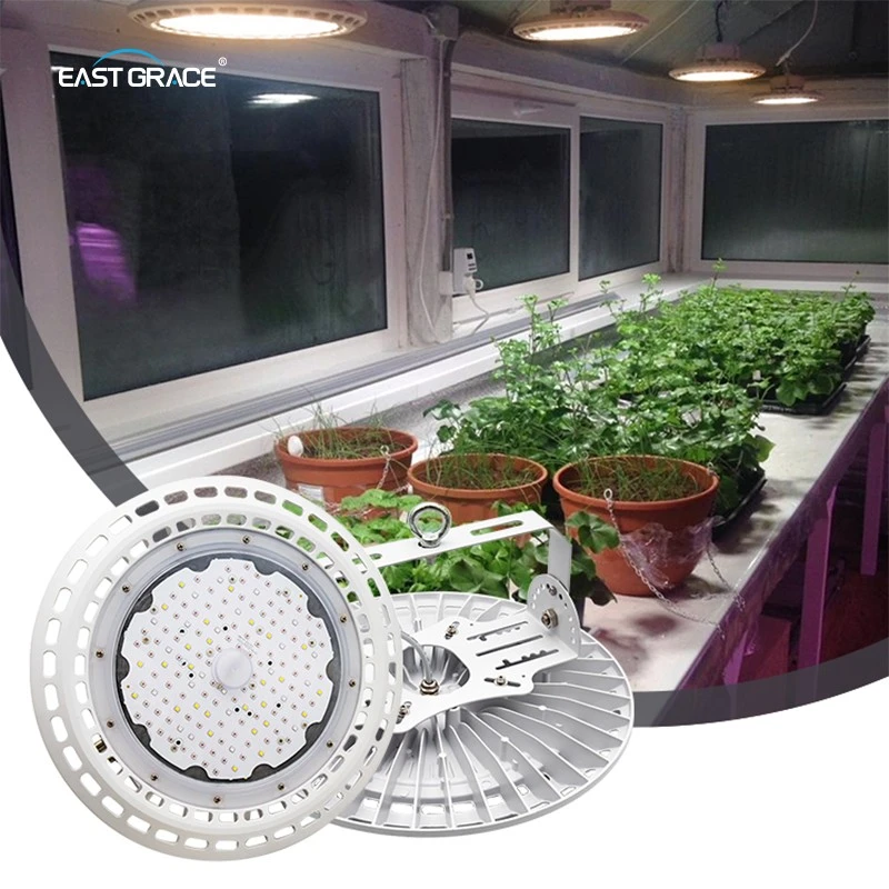Dragon Fruit UFO LED High Bay Grow Light