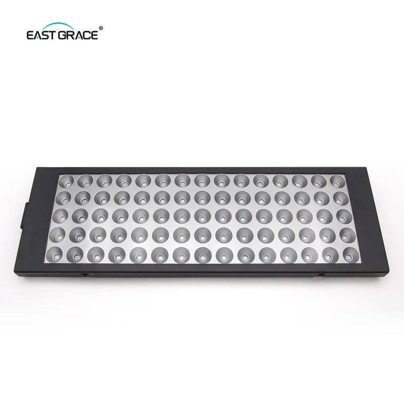 LED (6)