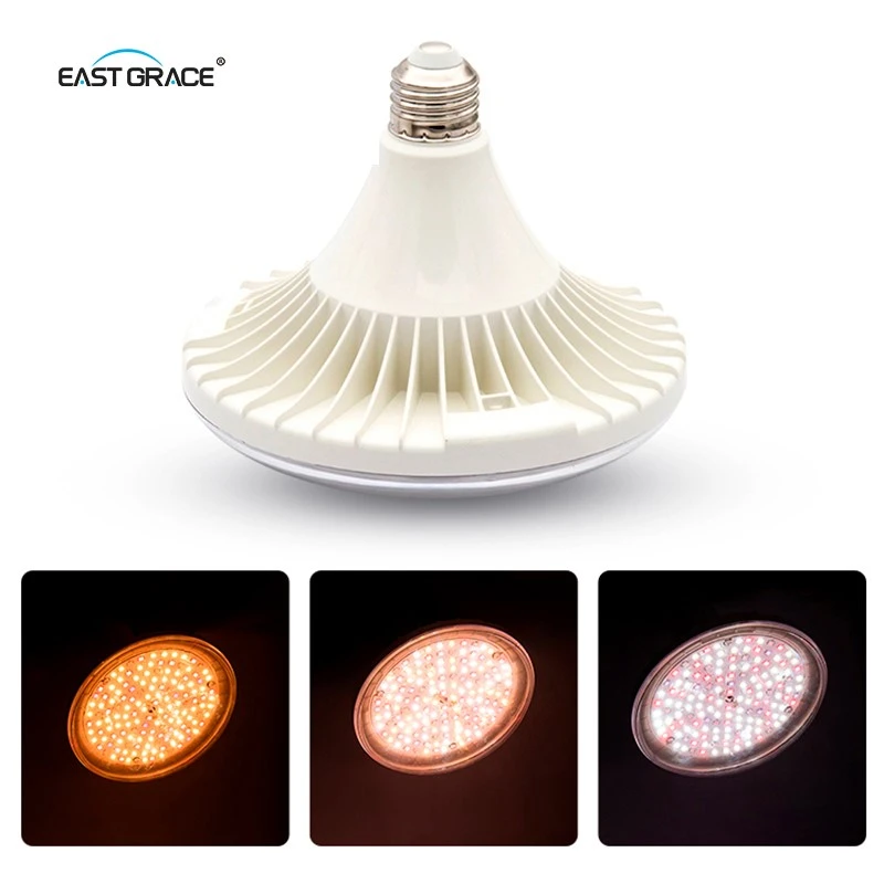 product-800-800 product-800-800