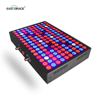 Vattentät LM281B Dual Channel LED Grow Light Panel